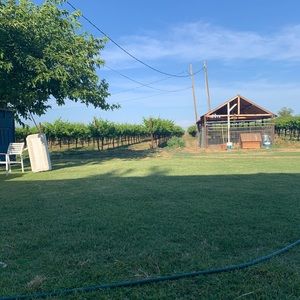 Meet your Posher, Adriana